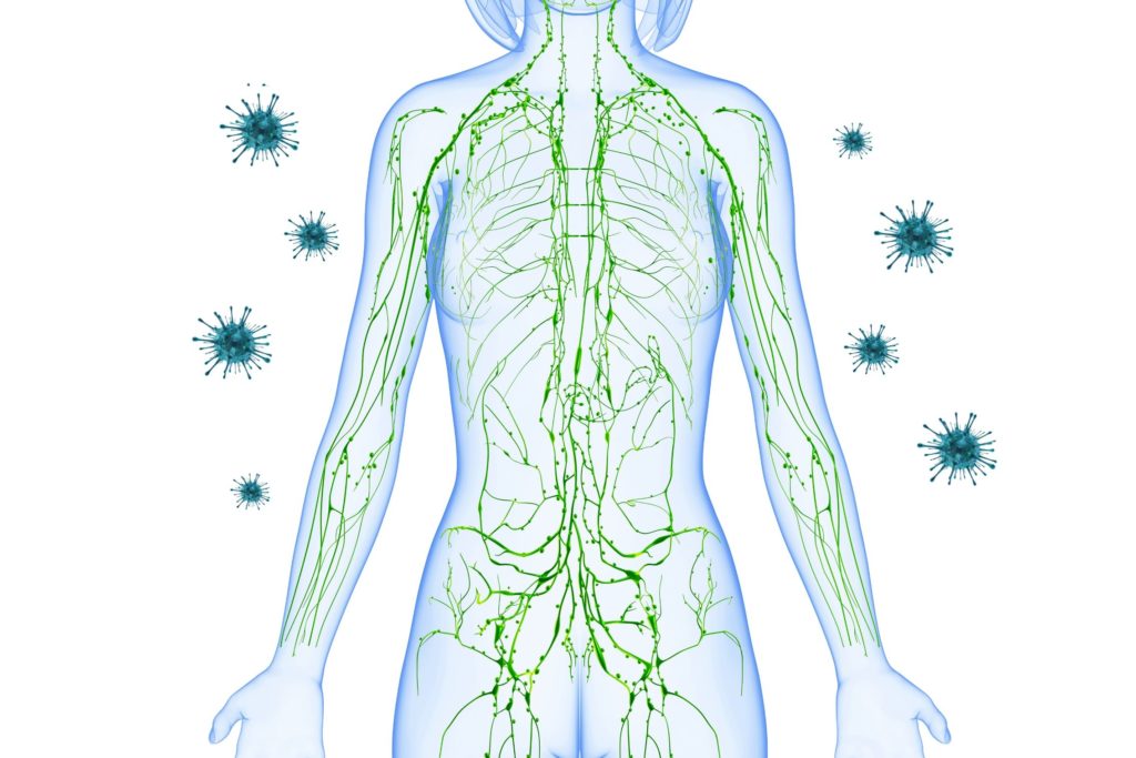 How To Naturally Boost Your Immune System Live Life Get Active