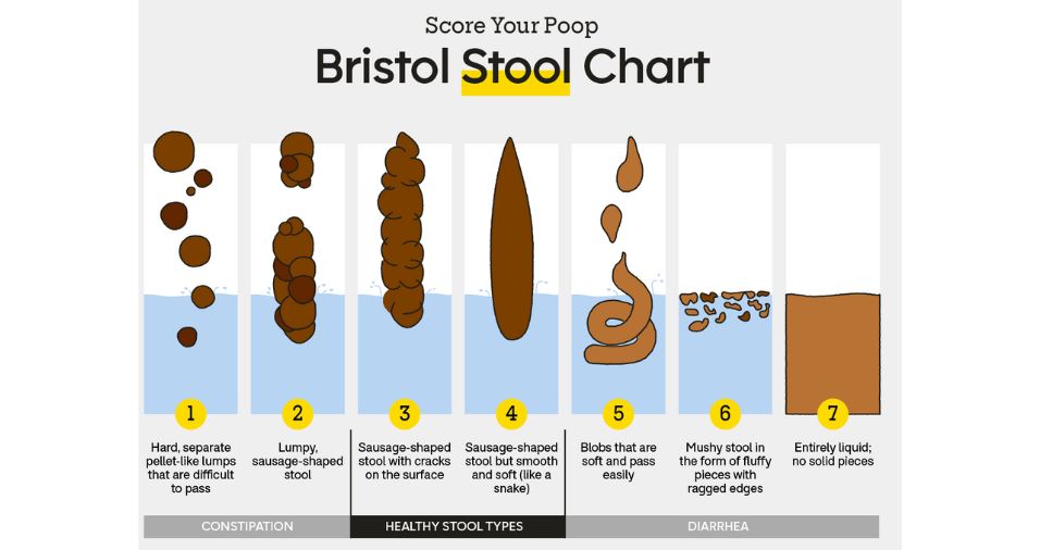 Balanced bowel movements